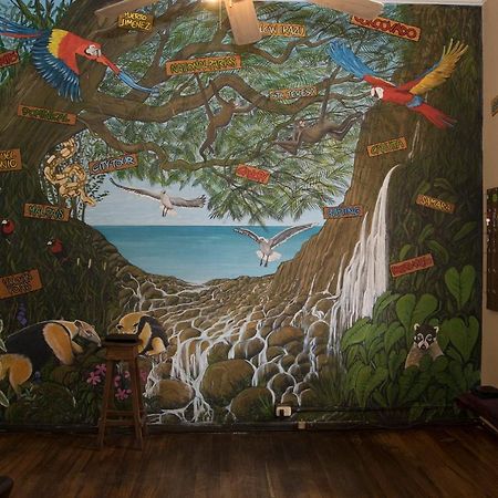 Casa Mayela Guest House ซานโฮเซ ภายนอก รูปภาพ