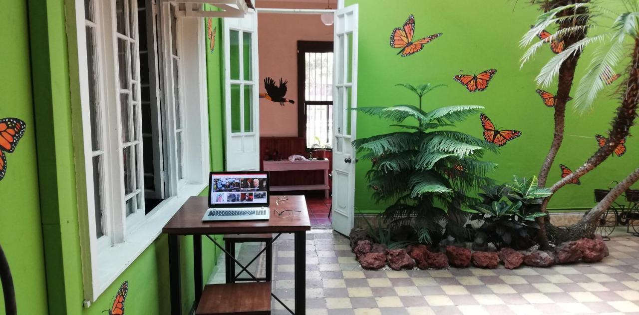 Casa Mayela Guest House ซานโฮเซ ภายนอก รูปภาพ