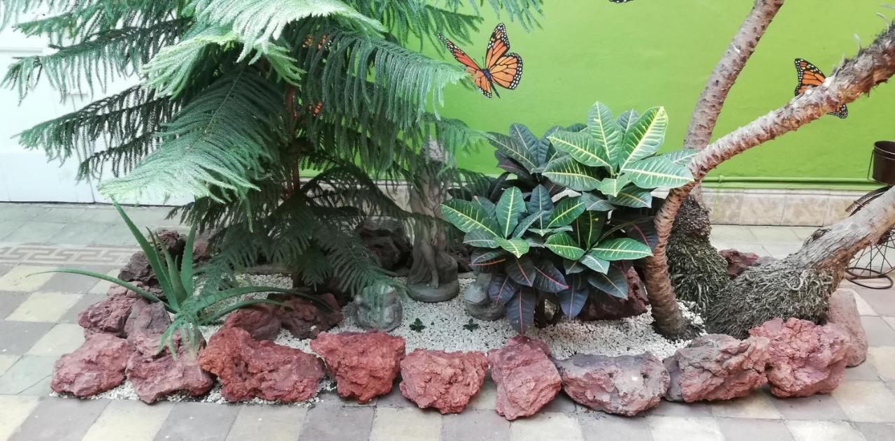 Casa Mayela Guest House ซานโฮเซ ภายนอก รูปภาพ