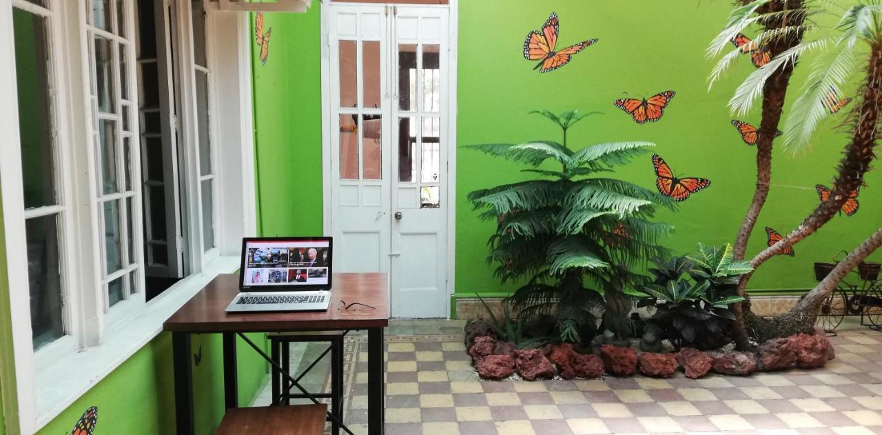 Casa Mayela Guest House ซานโฮเซ ภายนอก รูปภาพ